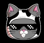 kitty.png
