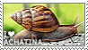 1000032251.gif