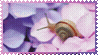 1000032252.gif