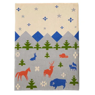 Pendleton throw blanket.webp