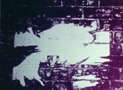 vlcsnap 2025 06 22 17h16m10s534.png