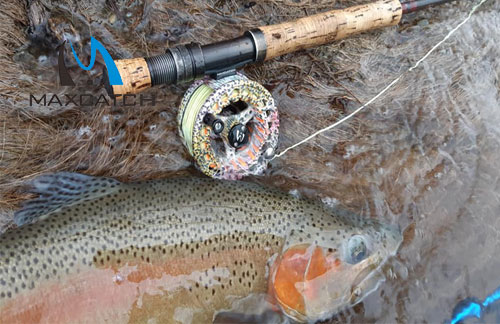 How to get the best fly fishing spinners.jpg