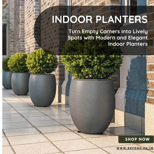 Style Your Corners with Indoor Planters.jpg