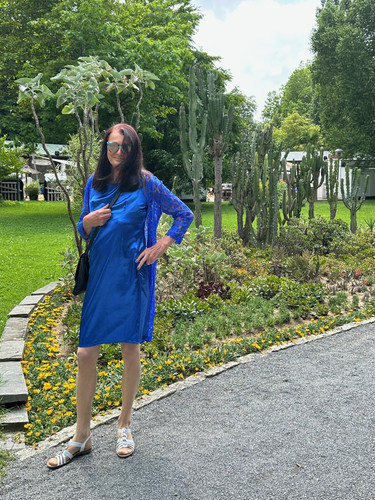 Kakteenfeld in Bregenz.jpg