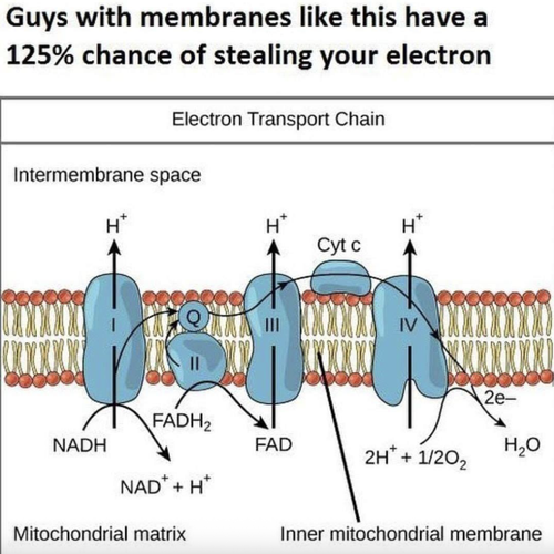 Screenshot 2025 06 23 at 8.44.55 AM.png