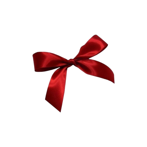 image removebg preview.png