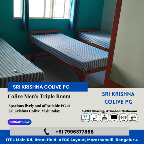 Our Spacious Men Triple Sharing room offers a vibrant shared atmosphere..png