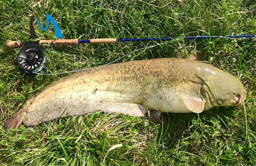 How to Pick a Good Trout Fly Fishing Tackle.jpg