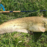 How to Pick a Good Trout Fly Fishing Tackle