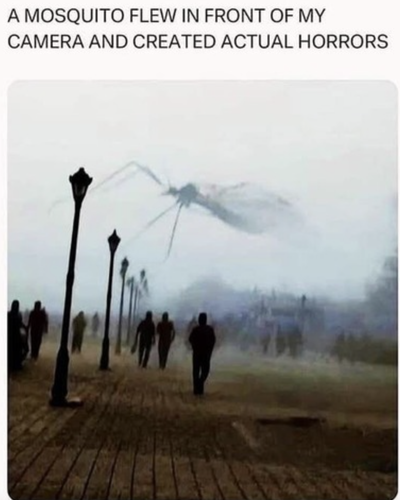 Screenshot 2025 06 23 at 1.21.35 PM.png