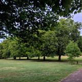 PXL_20250623_032126994.