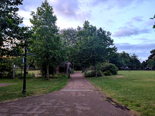 PXL_20250623_032342724.jpg