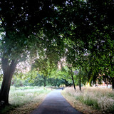 PXL_20250623_031055444.