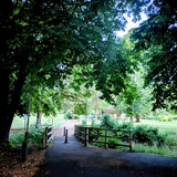 PXL_20250623_031035469.