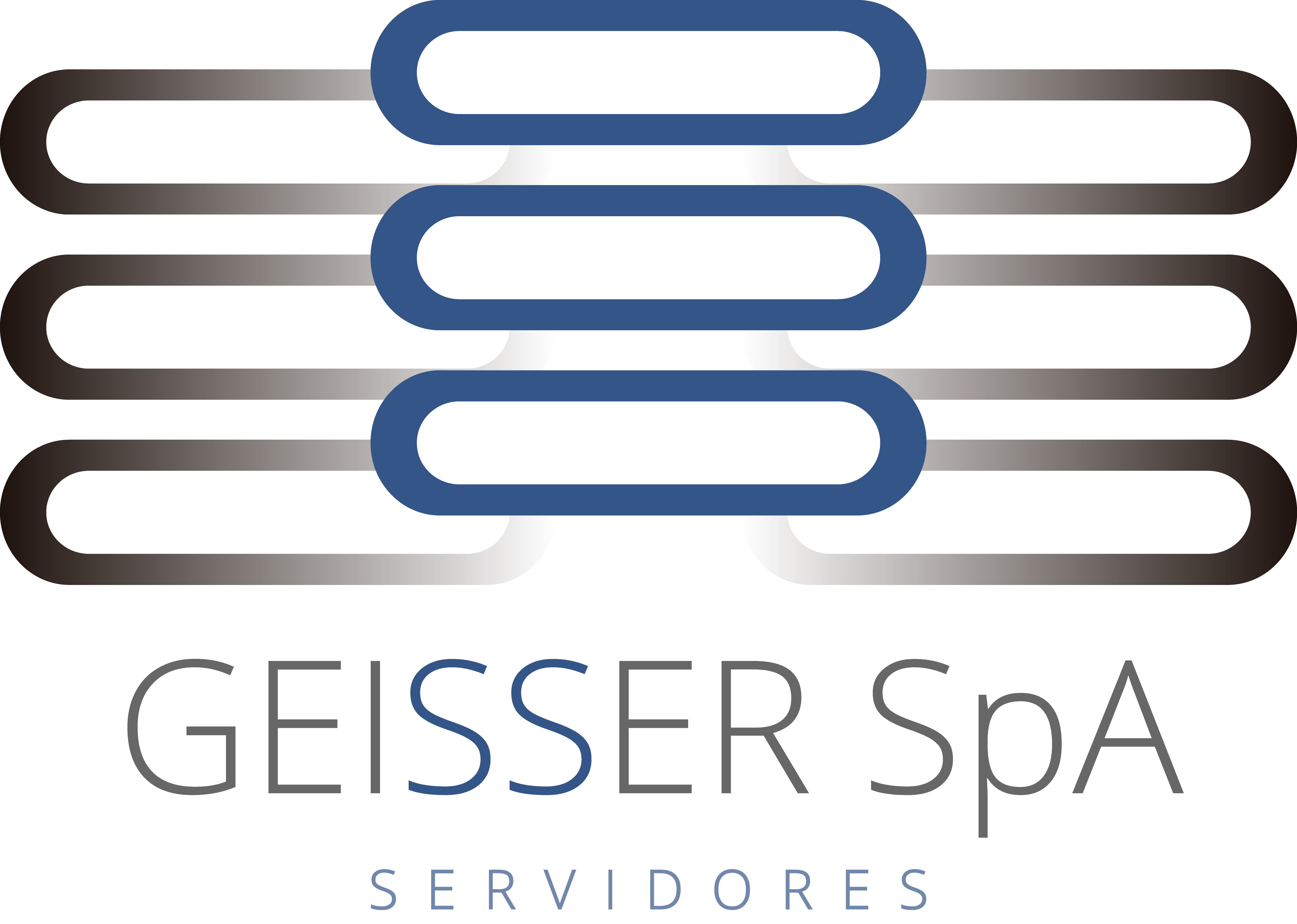 Logo GEISSER SpA