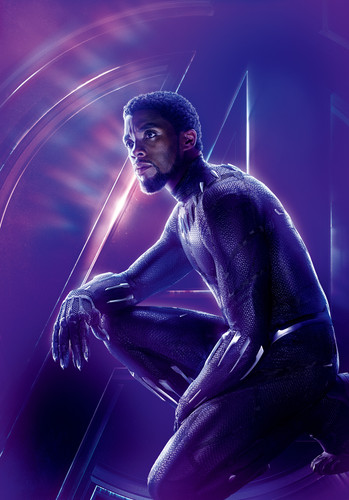[7871x11273]Infinity War Character Poster Black Panther