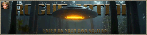 Volition Banner.gif