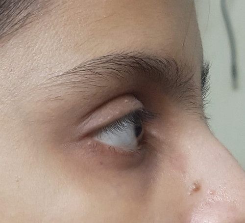 WhatsApp Image 2025 06 23 at 00.53.29 796c6146