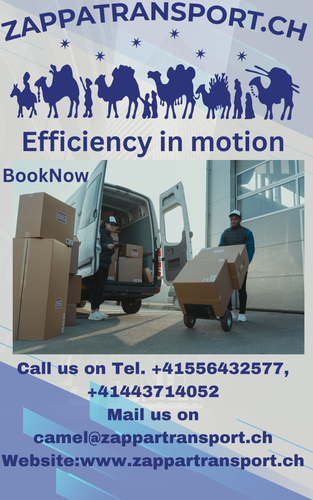 Zappa Transport 1 (2).png