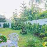 FB IMG 1718342290219