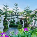 FB IMG 1718342159829