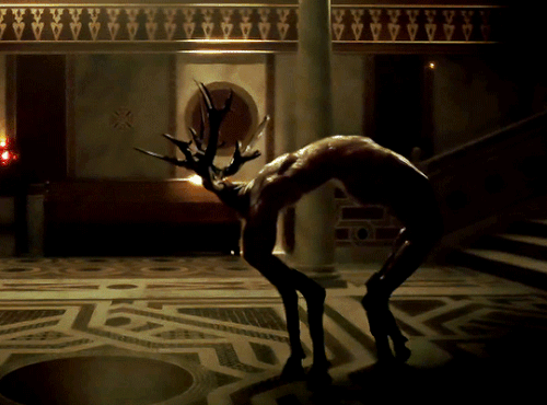 tumblr f4f5c452d8930a024d4335d5f7b8a426 229b25fc 540.gif