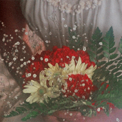 tumblr b1891297a5502263de811631b002f37f 088a6910 540.gif