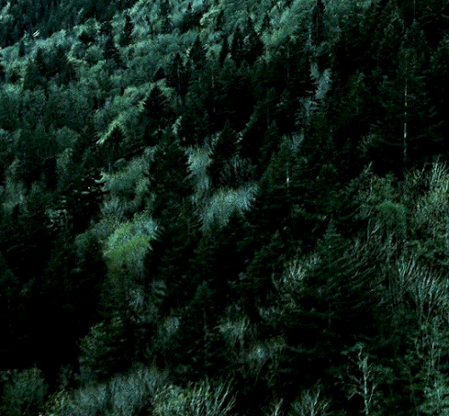 tumblr 6d68a5cf392f9a159384c0d3db87ab50 429b6d9f 540.gif