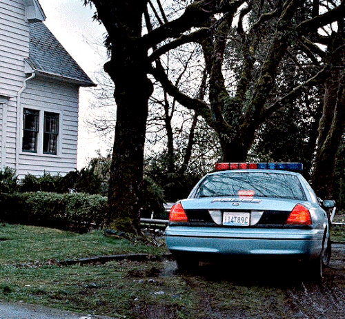 tumblr 70af90405408346bd71a53e6ea551814 c3b24e7c 540.gif