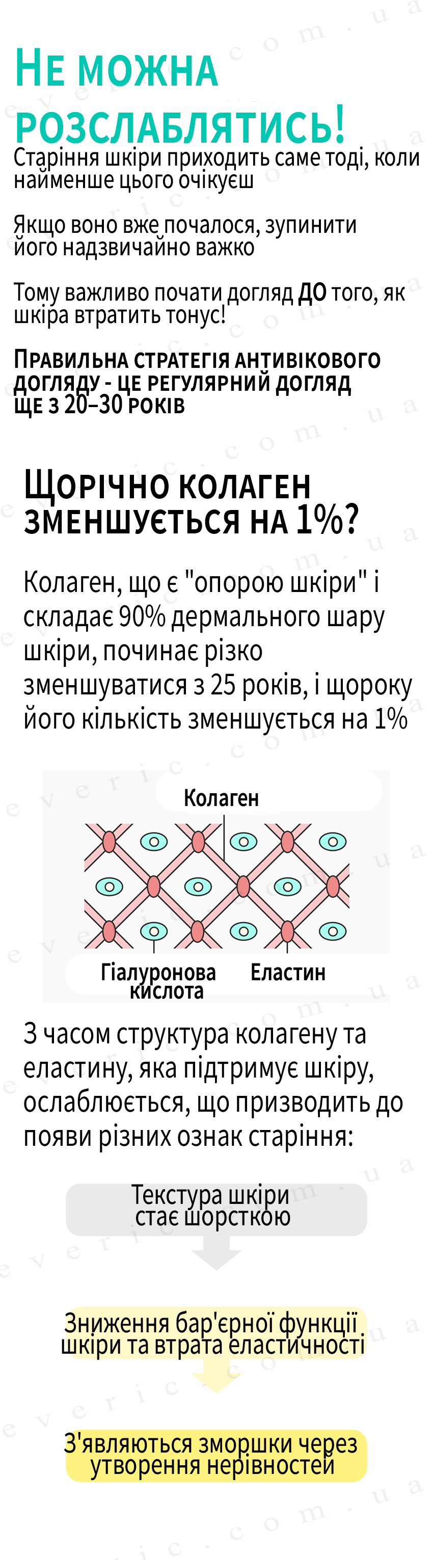 1 копия