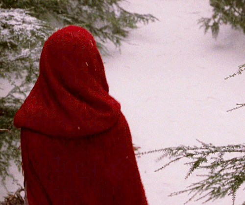 tumblr e5388e6c7acb4ccbcaf8091eb0511fdf 74c8c094 540.gif