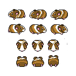 guinea pig style sheet (3).png