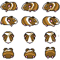 guinea pig style sheet (4).png