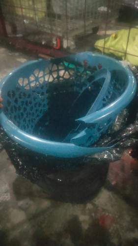 WhatsApp Image 2025 06 04 at 03.19.51.jpg