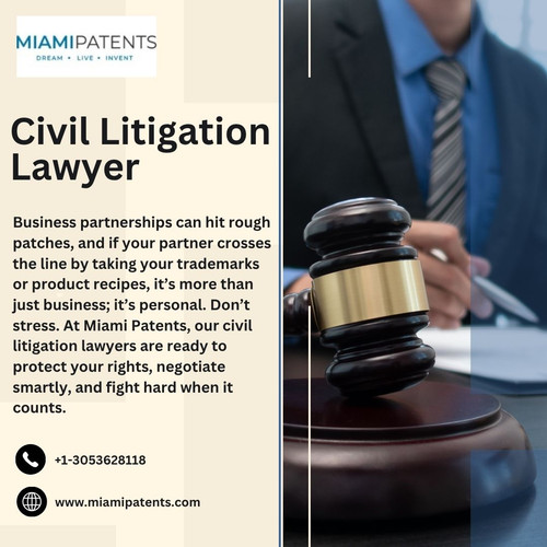 Civil Litigation Lawyer