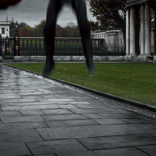 tumblr ba8f12ae002eaf6e59f99cd8a084cf11 e0559535 540.gif