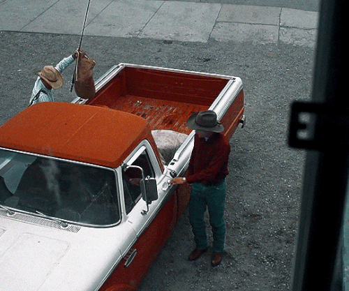tumblr 23eace9d163aaab96f06baff95e09ec2 bc3df999 540.gif