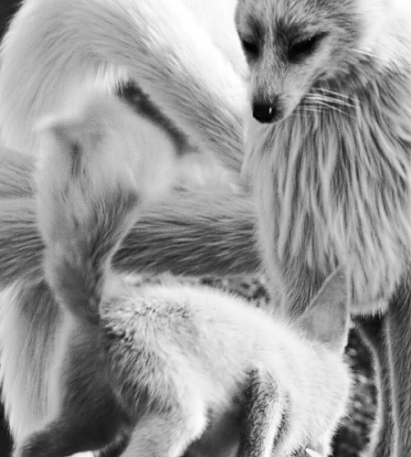 tumblr a1ba8d2b62377afcead5c7adb3ae2efc a0ebc5dd 540.gif