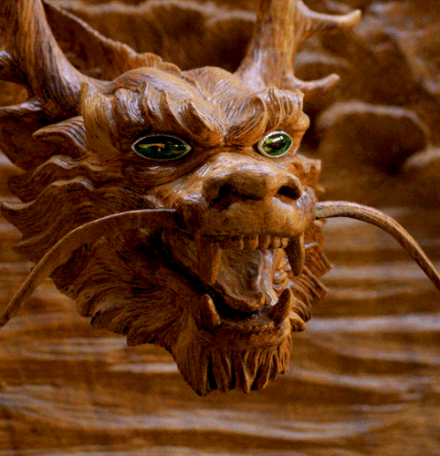 tumblr 11243439a6e5b70f55cf456104ae3f3b 0221014d 540.gif