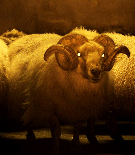 tumblr b04d23fa712bbf5228a1558be531782a e35c56ea 540.gif