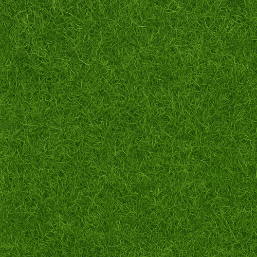 ChatGPT Image Jun 3, 2025, 02 04 34 AM.png
