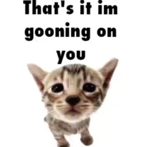 22d5750f 6bab 4eb1 8e4d b40d4232ec48.jpg