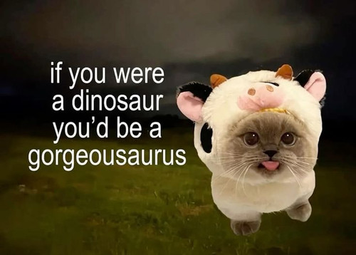 451d401d 4dea 4fe0 98e1 abdacc124b59.jpg