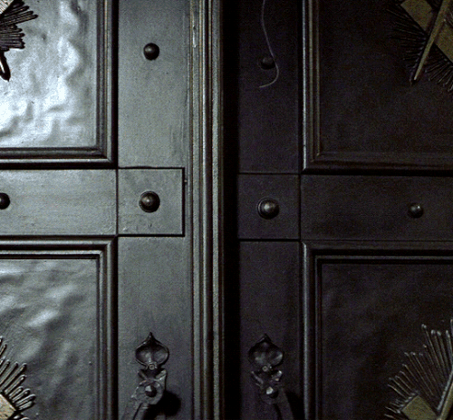 tumblr 97c888c6c60bc04b84a3ea562ad28714 e739a4c5 540.gif