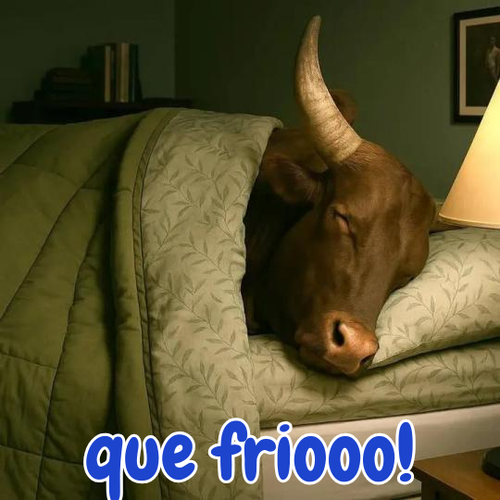 quefrio9oo.png
