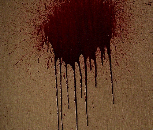 tumblr 0479fbcecbe9325200a77fa50103f04f 2a193f5c 540.gif
