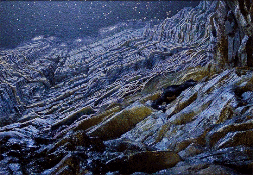 tumblr 3fcc20a93f36fdff36e67faebbde3b94 becd862a 540.gif