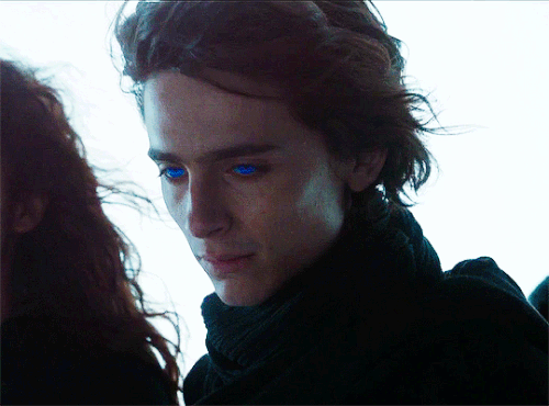 tumblr 8c27e6add0b3f2d5ca66ae5cf860b8c5 8ef37557 540.gif