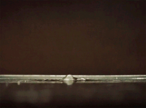 tumblr 0565162f13082c430584ead4593ba6f3 6afefa3b 540.gif