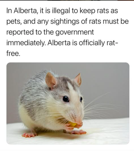 Screenshot 2025 06 03 at 6.41.52 PM.png